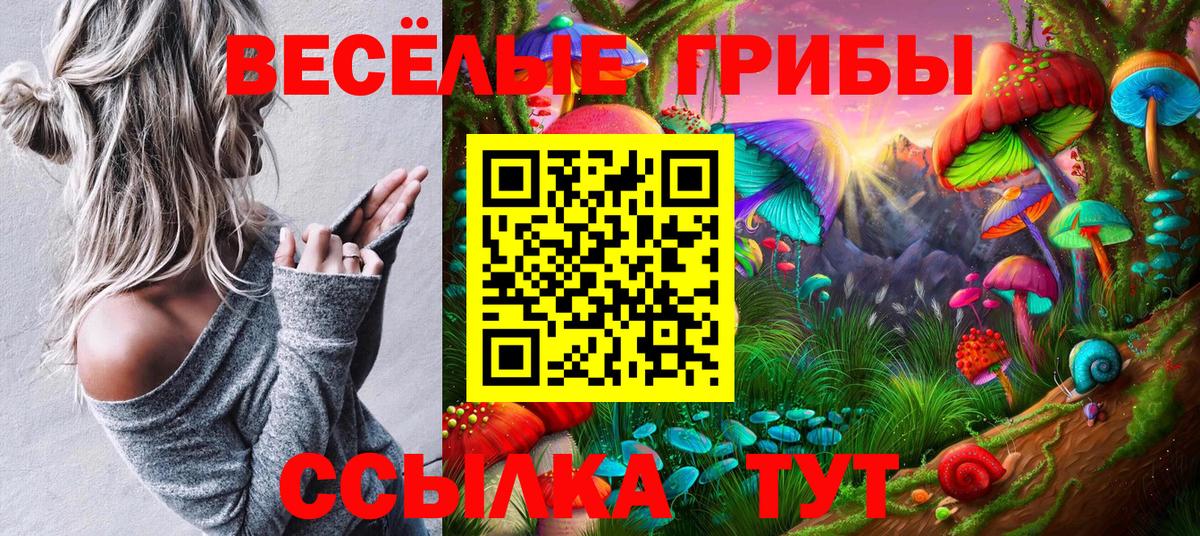 Юрга  Галлюциногенные грибы прущие грибы  Вход с VPN 