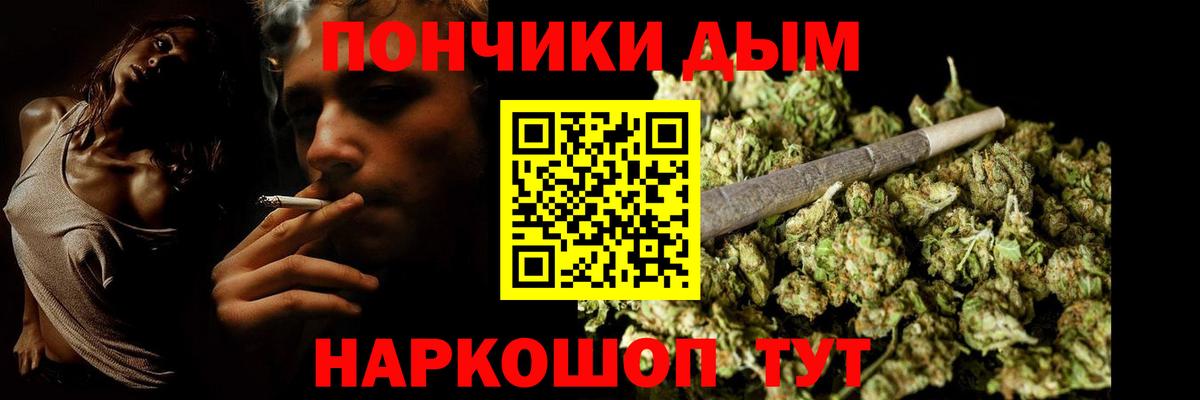 Бошки Шишки семена Юрга